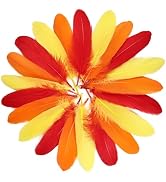 FeelfunFeather 120pcs Goose Feathers 6-8 Inch Decorative Natural Feather Bulk for DIY Crafts Wedd...