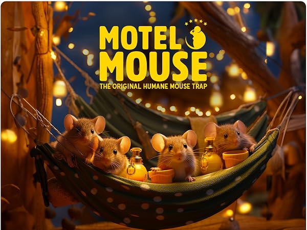 Humane Mouse Trap