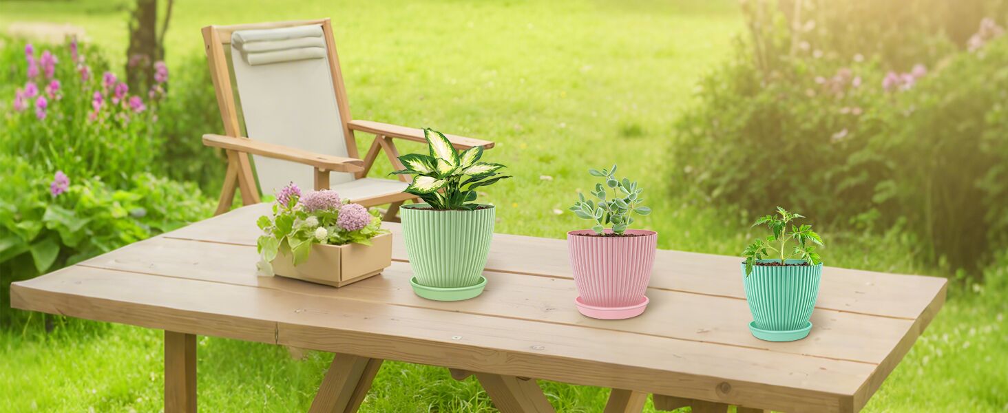 small plant pot