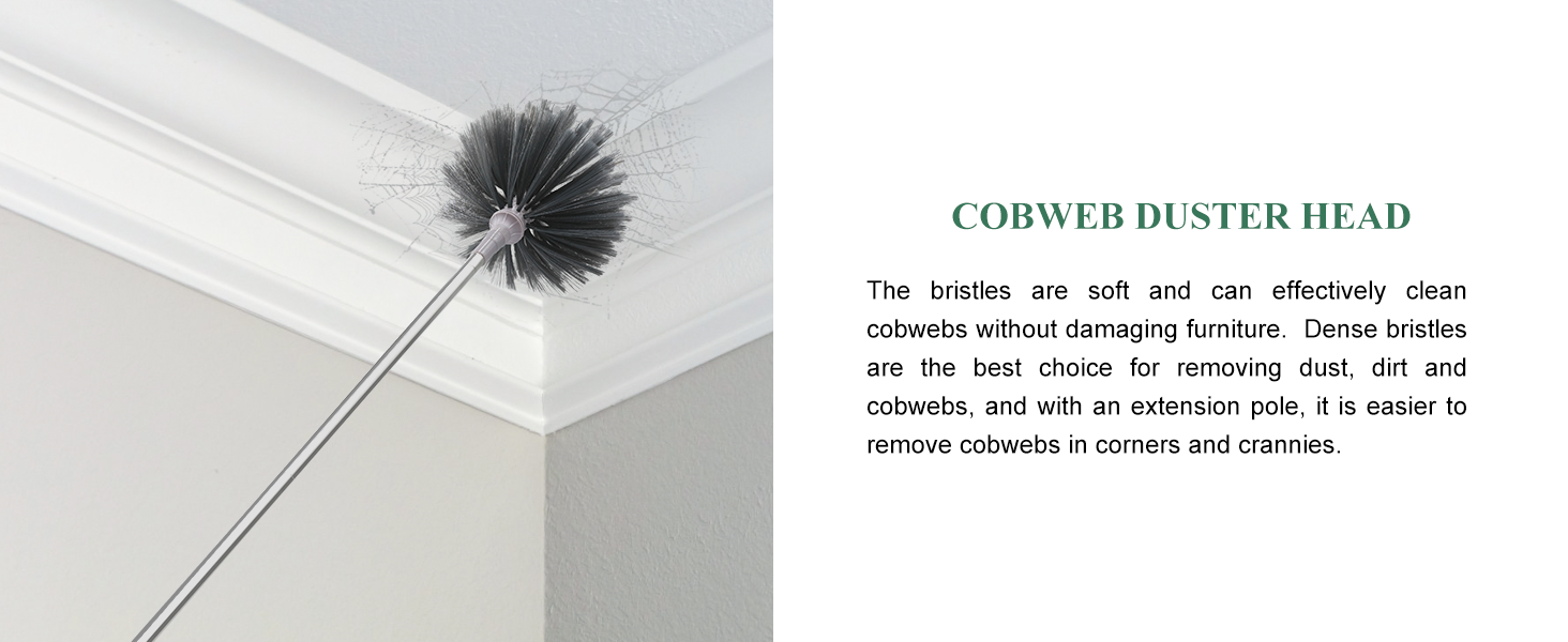 Spider web brush
