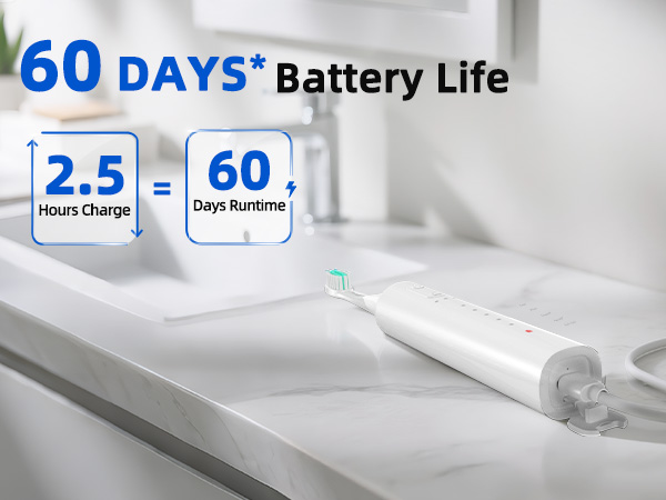 SEIGA Sonic Electric Toothbrush for Adults_04