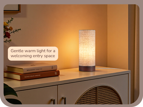 WARM LIGHT ENTRY TABLE LAMP