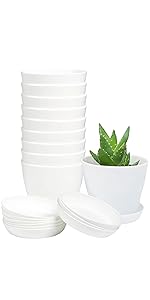 https://m.media-amazon.com/images/S/aplus-media-library-service-media/d048f4c7-1614-4cf8-82c4-c2313f8be097.__CR0,0,1350,2700_PT0_SX150_V1___.jpg