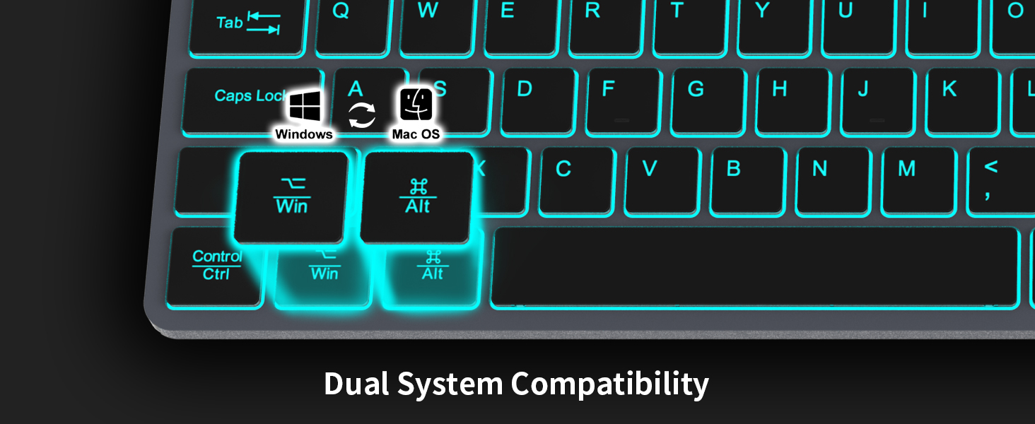 dual system