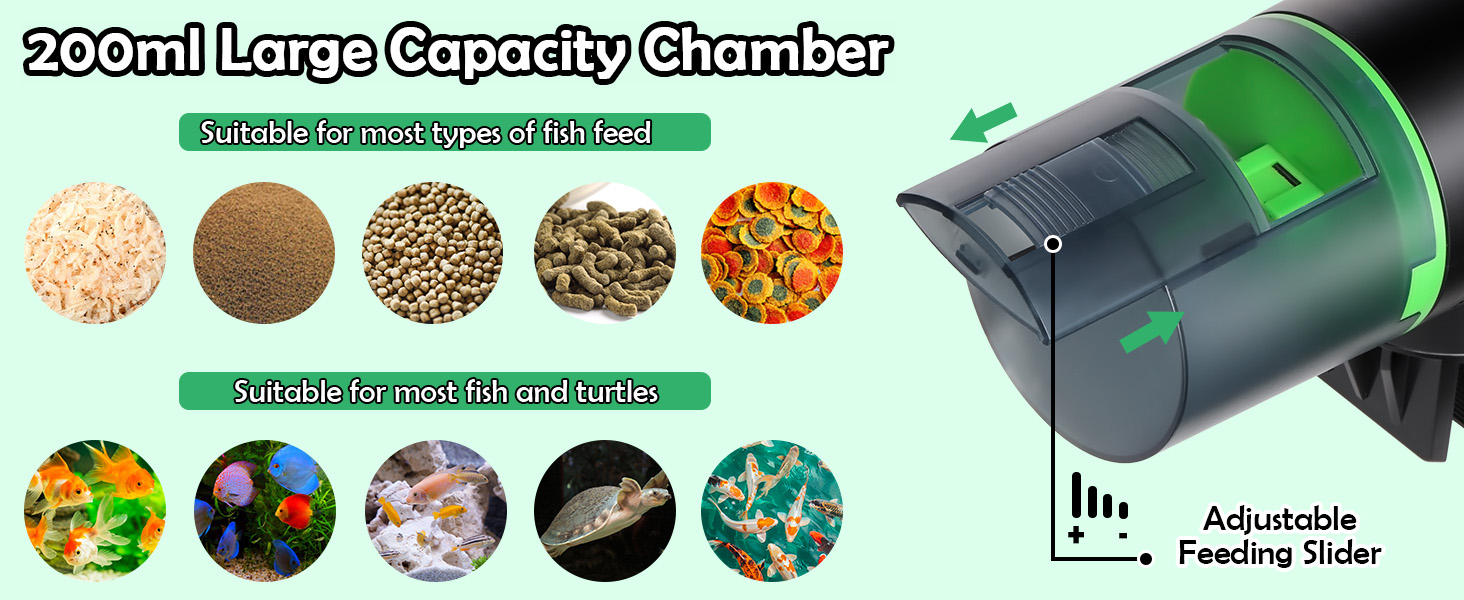 auto feeder fish