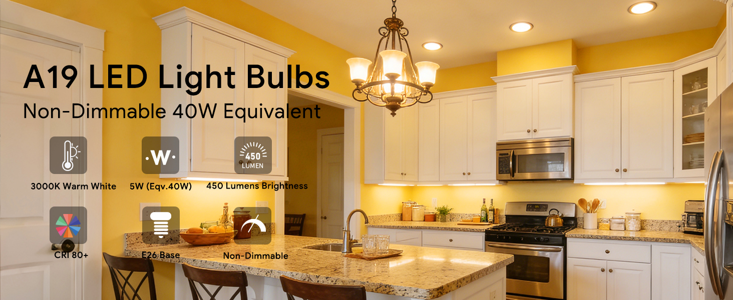 A19 LED Bulbs 3000K