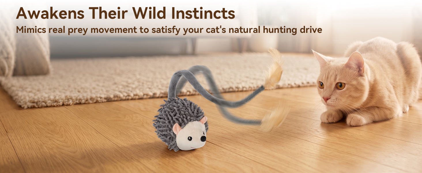 cat toys indoor interactive kitten toys automatic