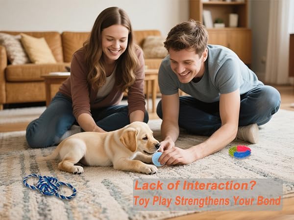 20 pack puppy toys