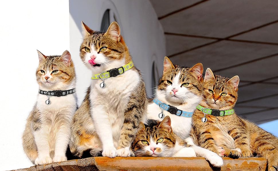 cat collars for boy cats