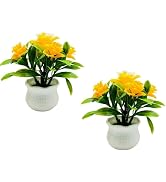 Galyacht 2pcs Yellow Faux Roses - 5-Petal Bloom Potted Arrangement for Home/Wedding/Garden Decor,...