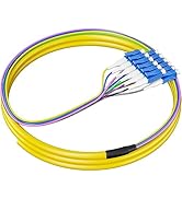 RamboCables 12 Strand LC Fiber Pigtail Single Mode, LC/UPC 12-Fiber OS2 Singlemode Pigtail,for Ne...