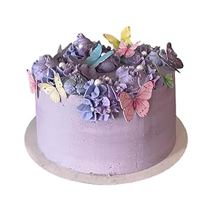 Colorful Vivid Butterfly Cake Topper