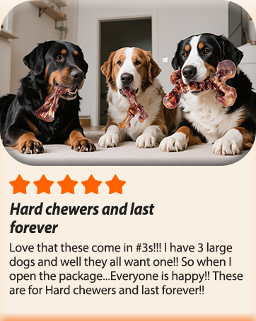 dog chew toys