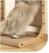 cat scratcher
