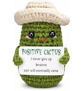 Handmade Crochet Sombrero Cactus Decorative Ornament Gift (positive)