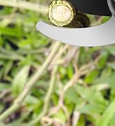 Pruning Shears