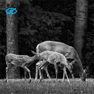 s800 no glow infrared night vision