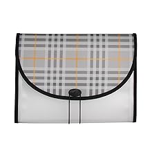 Plaid Expanding File