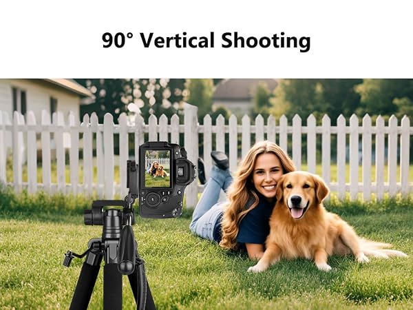 camera tripod