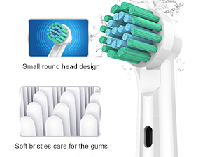 Toothbrush Heads