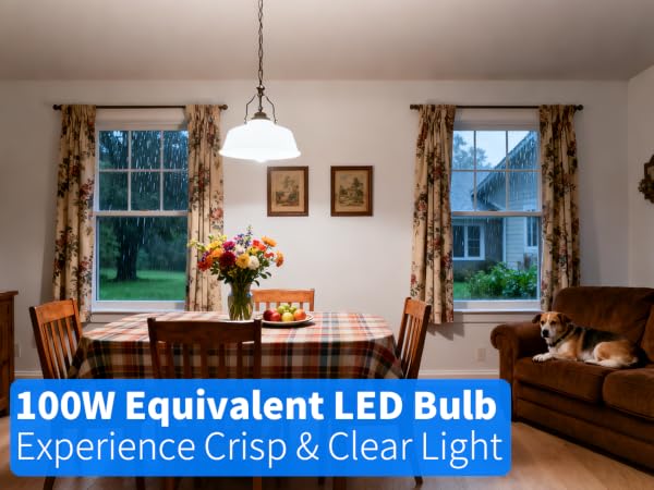 LED LIGHT BULBS 100W