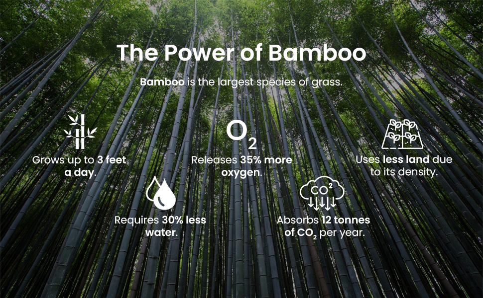The power of bamboo, the largest species of grass. Grows up to 3 feet per day using 30% less water.