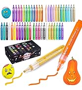 Paint Pens Acrylic Markers, ZSCM 56 Colors Paint Markers for Halloween Pumpkin Painting, Metallic...