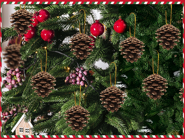 pinecones
