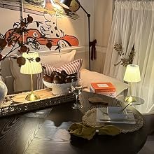 Cordless lamp