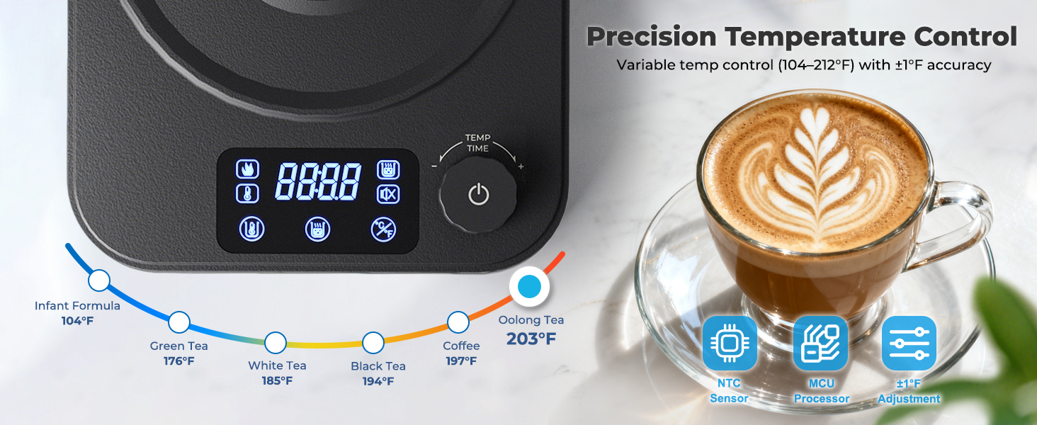 electric gooseneck kettle
