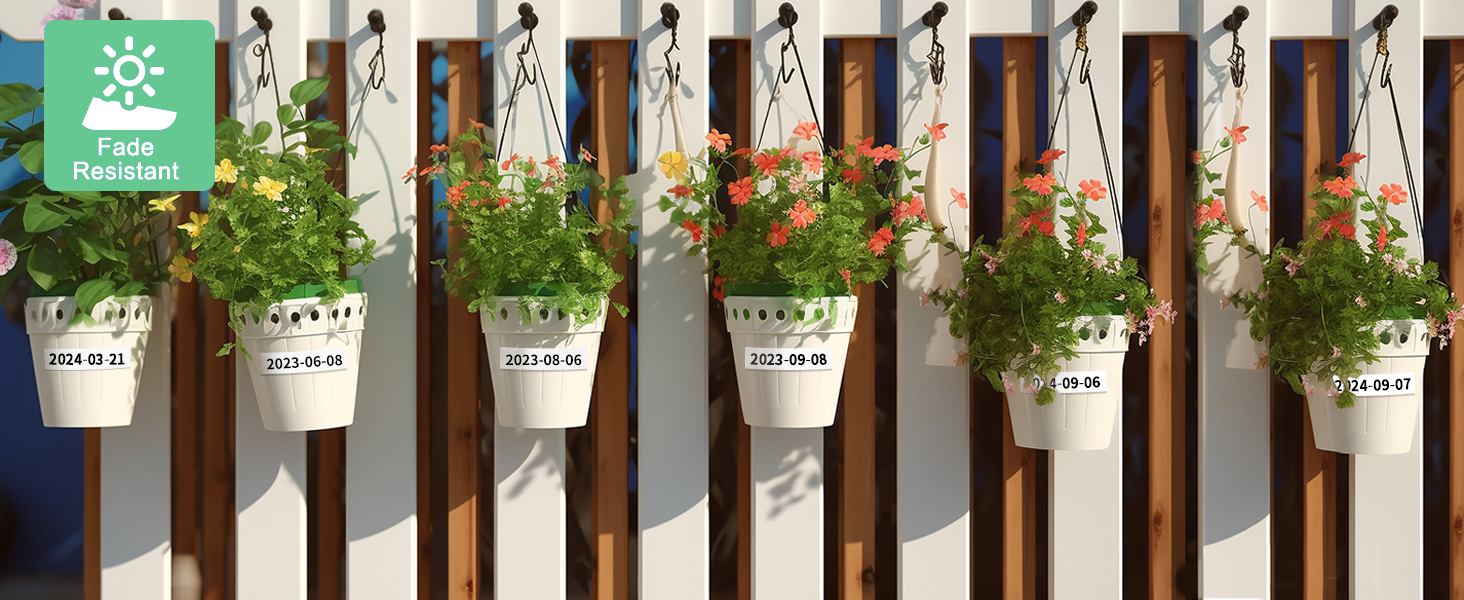 phomemo p12 label tape