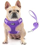 PUPTECK Dog Harness and Leash Set for Small Medium Dogs No Pull, Soft Mesh Adjustable Puppy Cat H...