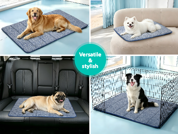 summer cooling dog bed