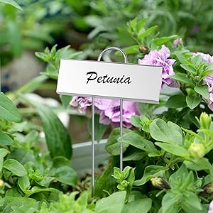 plant labels