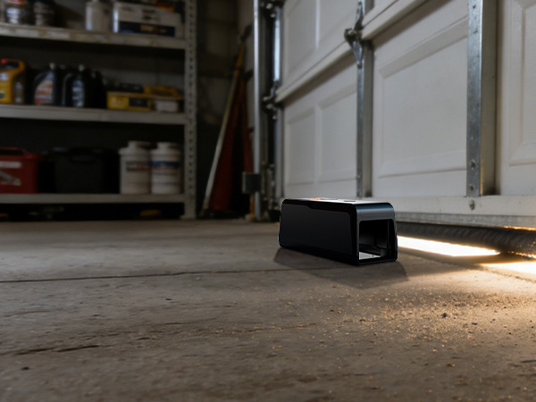 electronic rat traps
