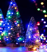 multicolor fairy lights
