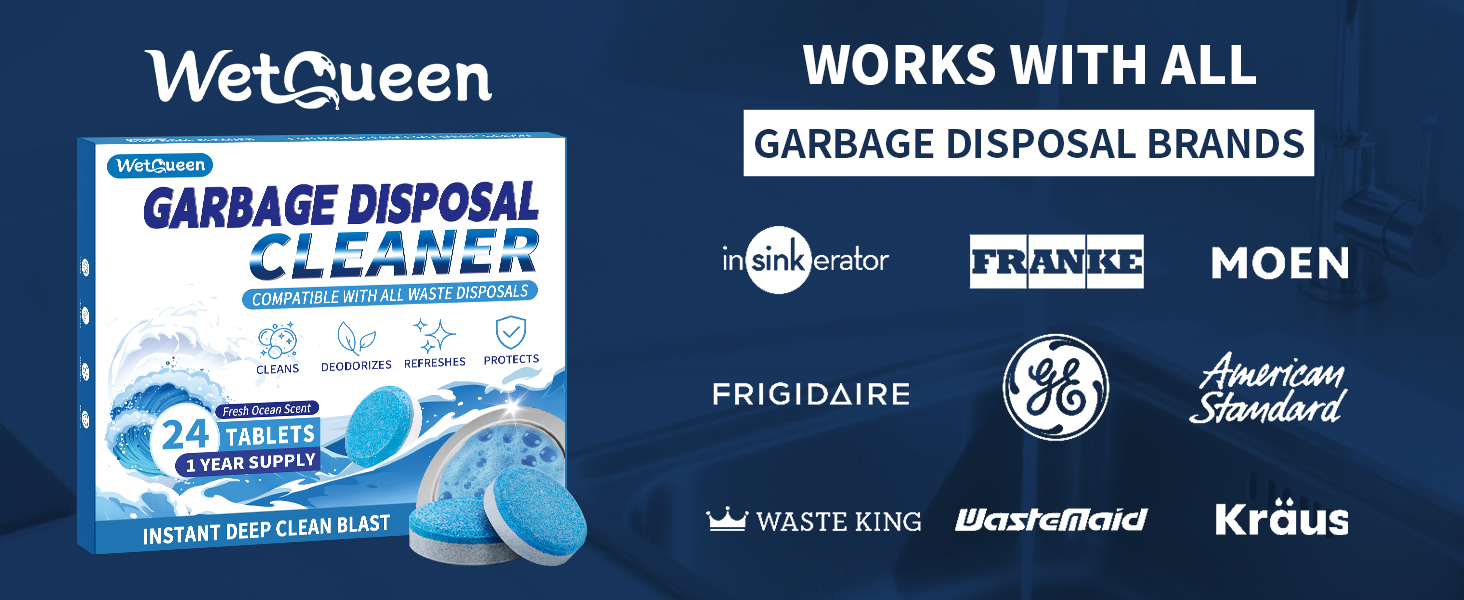 sink disposal cleaner