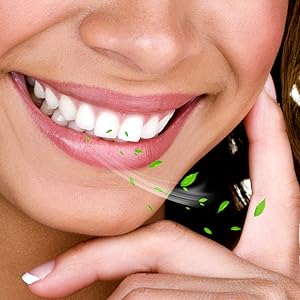 Fruit Flavor Breath Freshener 6P