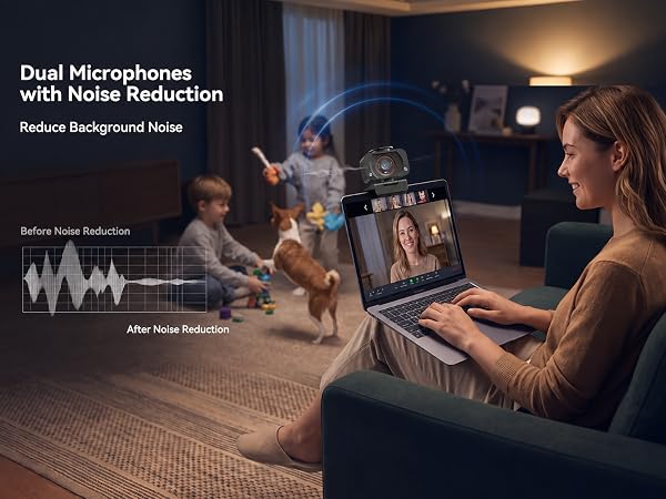 Dual Microphones with Noise Reduction