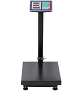 DBHJZLAB 300kg Platform Scale (Without Handrail)