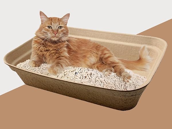 Disposable Litter Boxes for Cats, 8 Pack