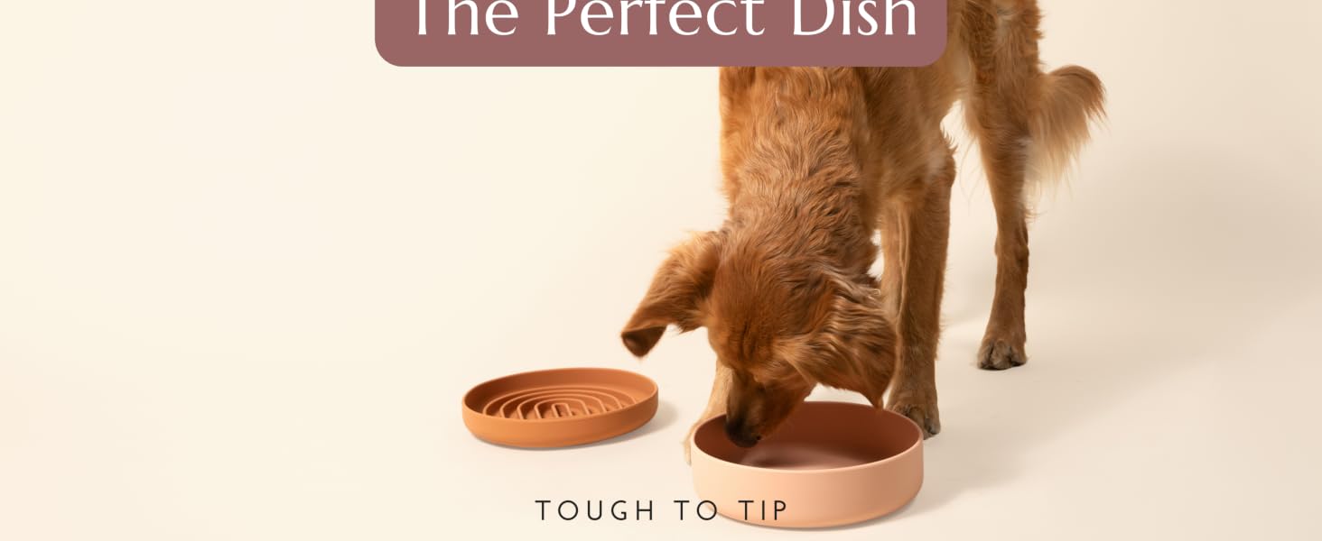 watering supplies spill proof pink travel girl indoor shelf container decor dachshund shallow home
