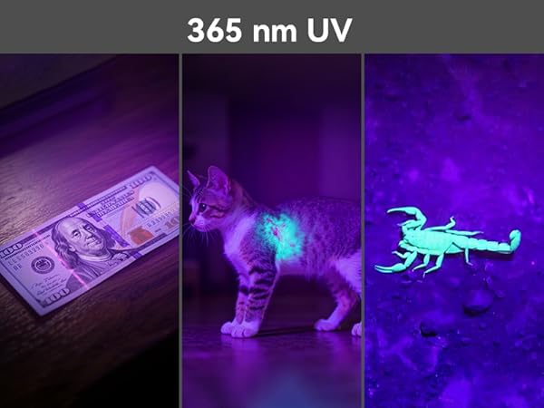 Purple light flashlight