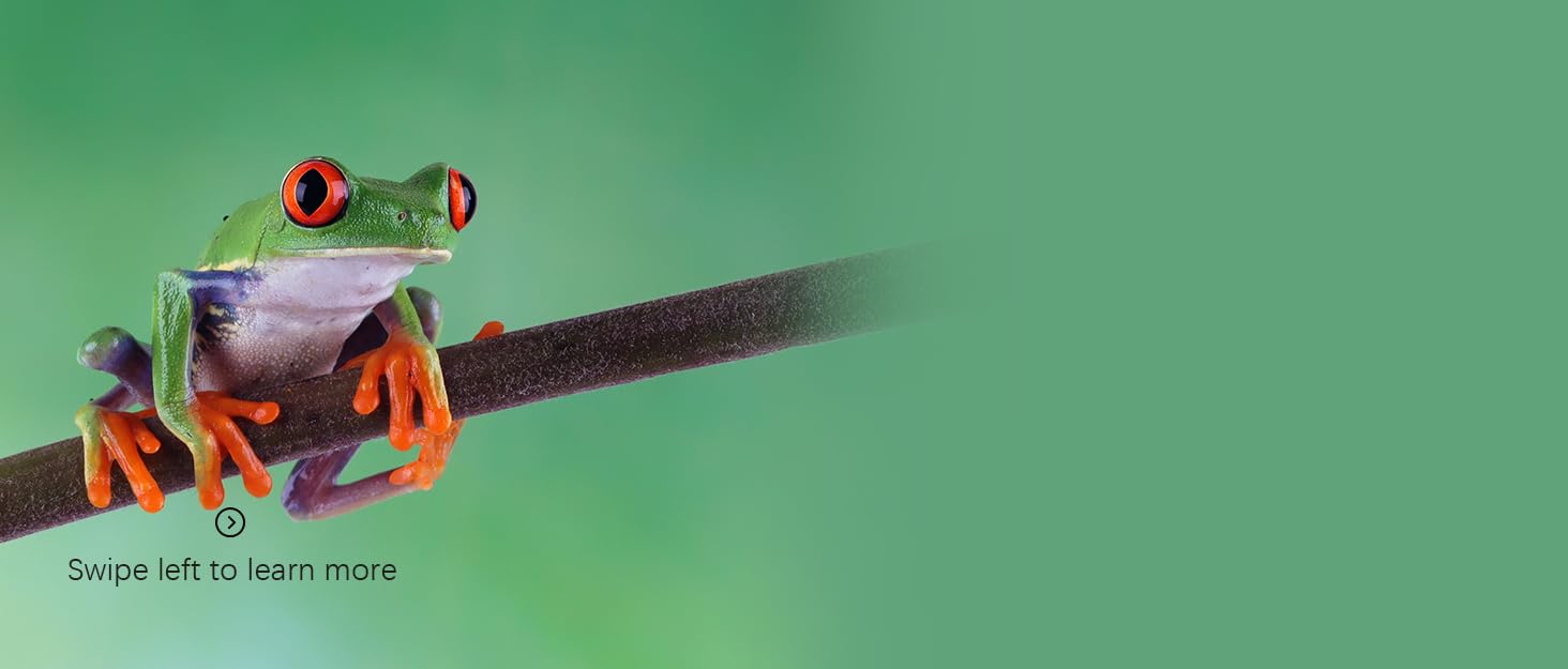 Reptile