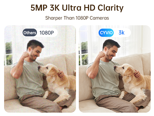 inside cameras for house wireless