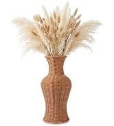 TEHAUX Faux Rattan Wicker Woven Flower Vase, 17" Tall Shatterproof Floor Vase for Dried Flowers &...
