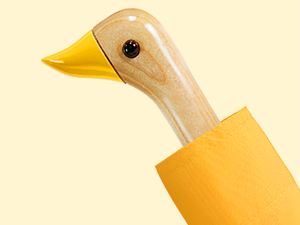 duck umbrella
