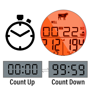cooking thermometer for meat
