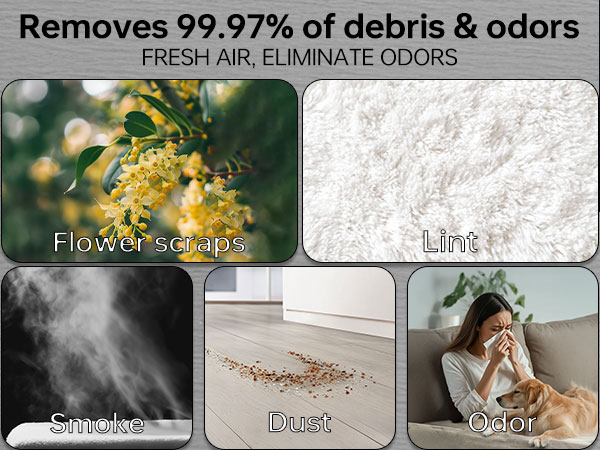 shark vacuum parts replacement