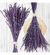 Dried Preserved Lavender Flowers Bundle-Natural Dried Lavender Bouquet 180-200 Stems 15''-17" for...